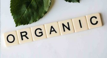 The Verdict on Organic Food