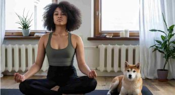Doga for Beginners: How to Do Yoga with Your Dogs