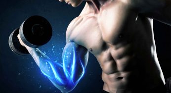 How to Build Muscle: 4 Quick Tips for You