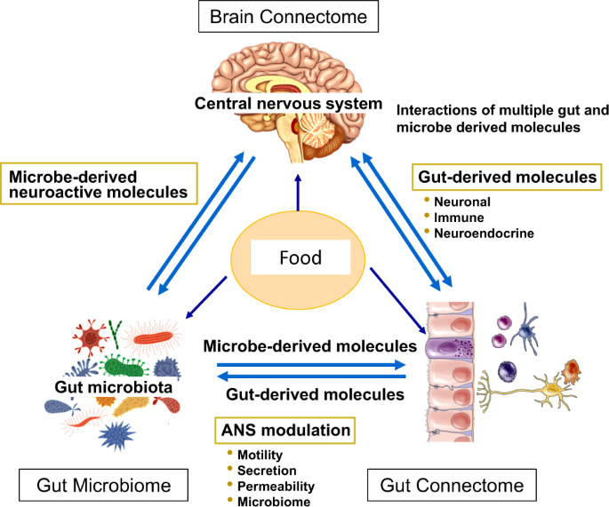 What is Gut Health