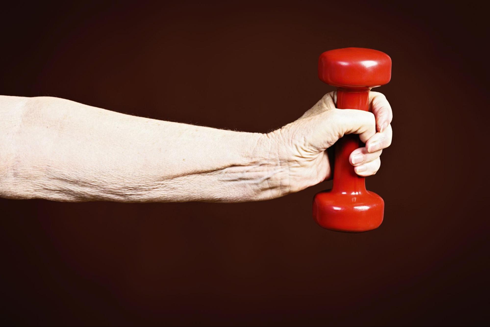 Protein nutrition for muscle health