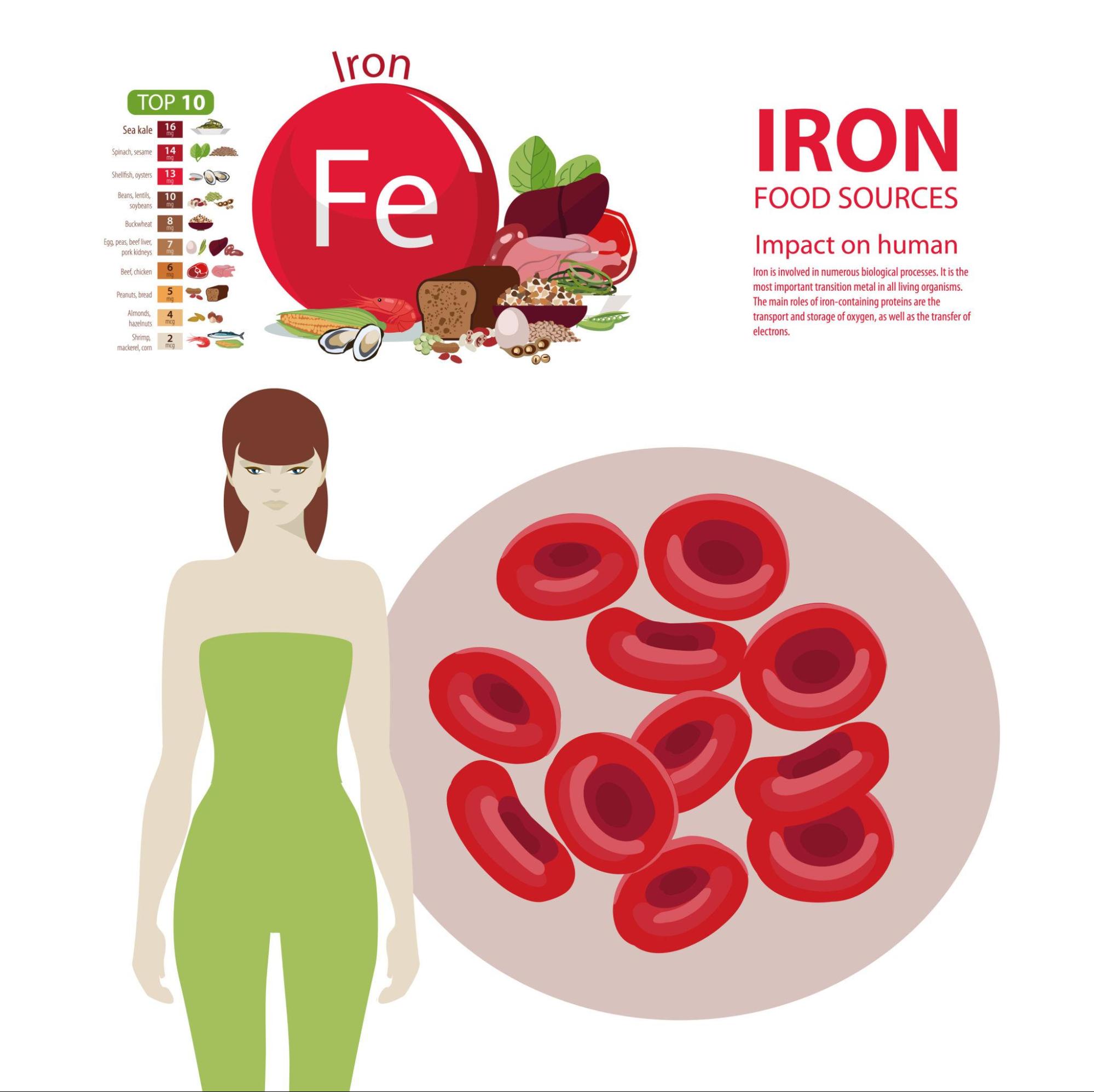 Healthy nutrition and women wellness
