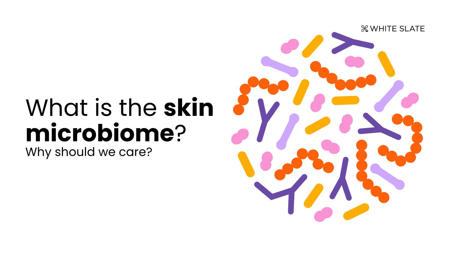 Gut microbiome and digestive health